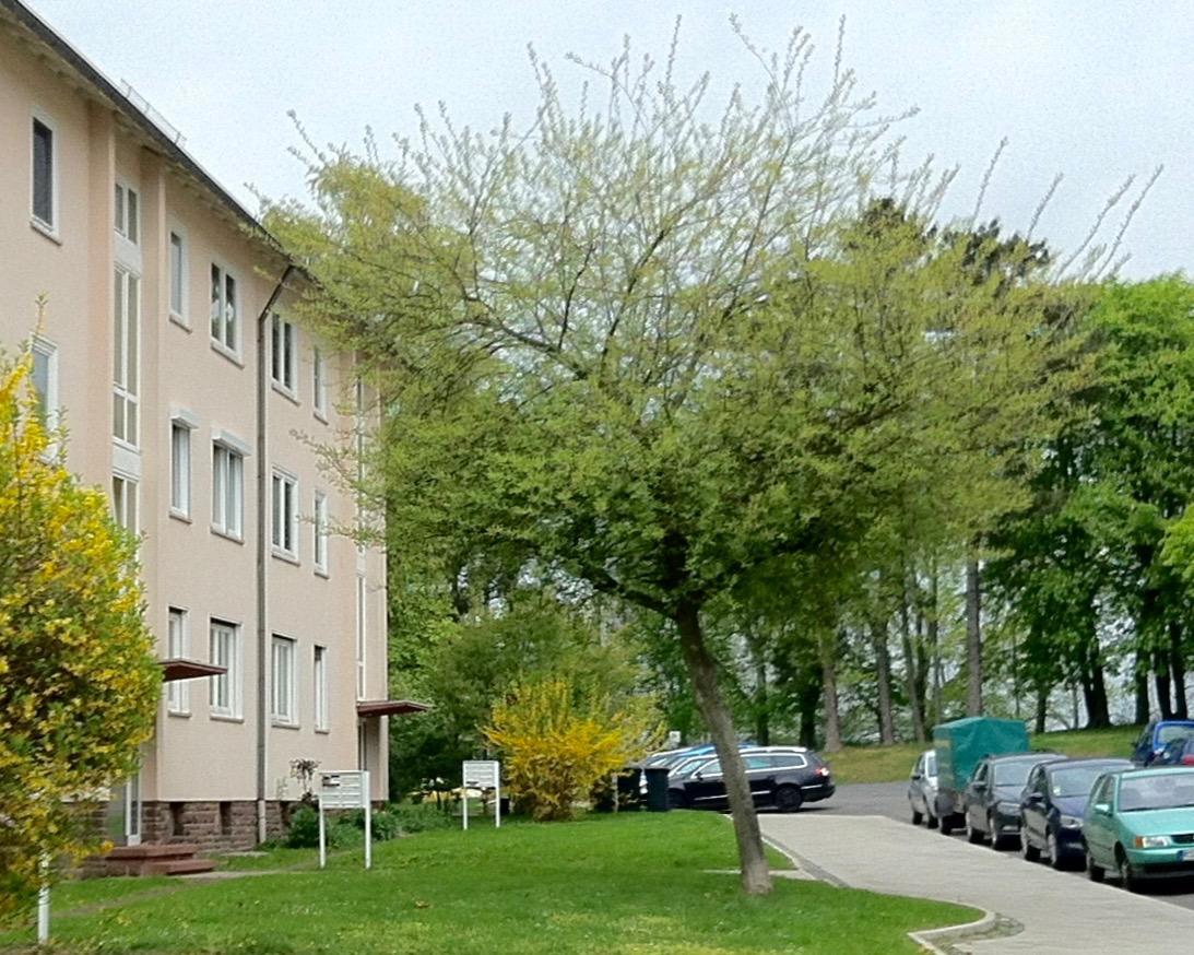 Ask Rooms Privatzimmer In Kassel Exteriér fotografie